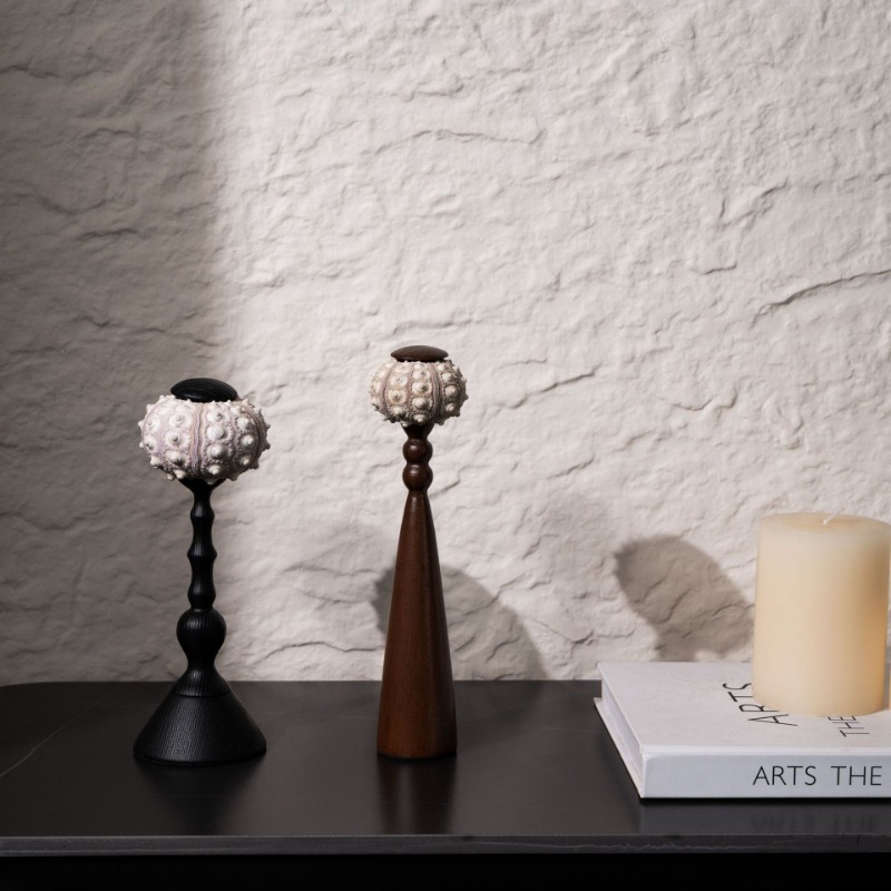 Creative Conch Sculpture Handc – Exhibition Of Art And Craft Bewertung und Preis
